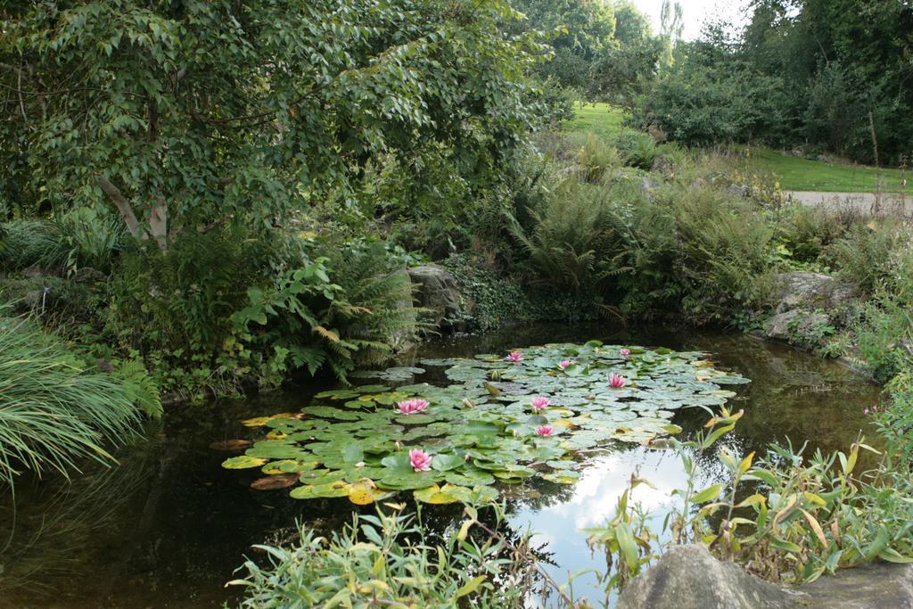 Les Suites De Catherine, La Si Calme Nancy Exterior foto